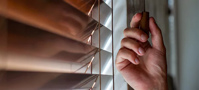 Double Roller Blinds in Gloucester, Ontario