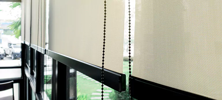 Blackout Window Shades in Gloucester, Ontario