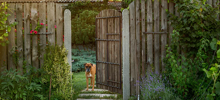 Winter Garden Garage Door Repair in Gloucester,Ontario