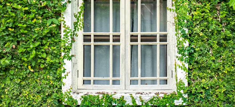 Garden Window Repair Near Me in Gloucester, ON