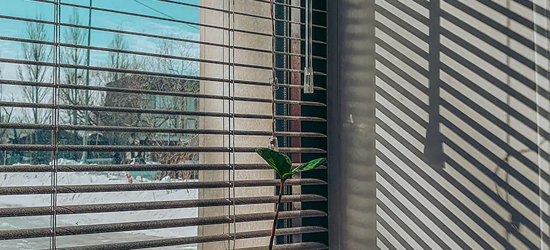 Commercial Window Blinds in Gloucester, ON