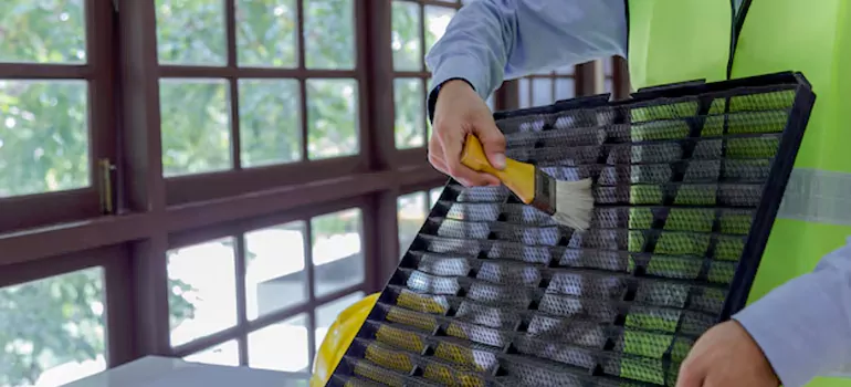 Traditional Window Grille Installation Options in Gloucester, ON