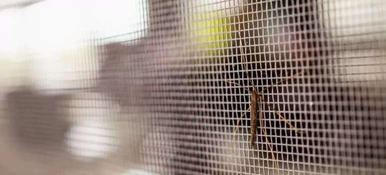 Repair Mosquito Mesh For Windows in Gloucester, Ontario