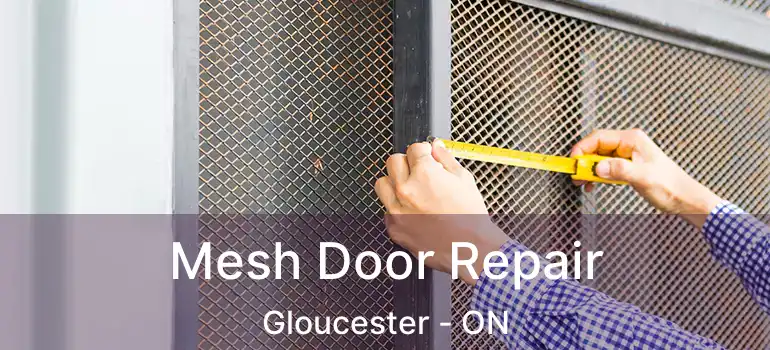 Mesh Door Repair Gloucester - ON