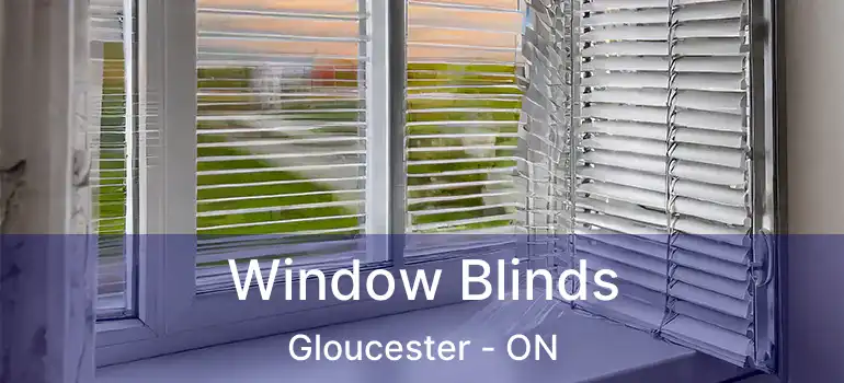 Window Blinds Gloucester - ON