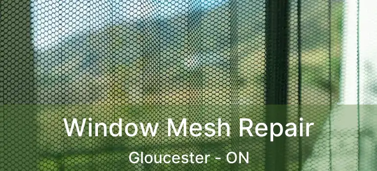 Window Mesh Repair Gloucester - ON