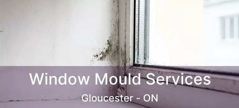 Window Mould Services Gloucester - ON