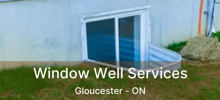 Window Well Services Gloucester - ON